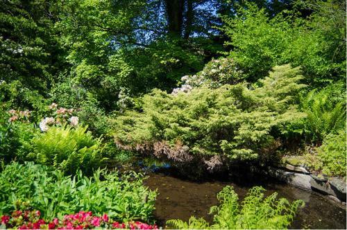 Nutgrove House Luxury B&B