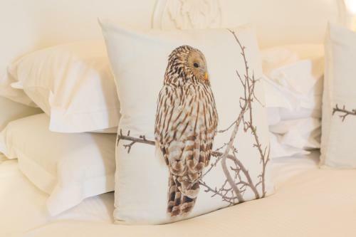 Bed & Breakfast Dunedin Country House