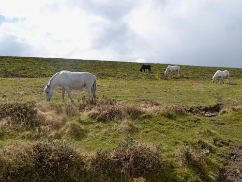 Crofter's Barn