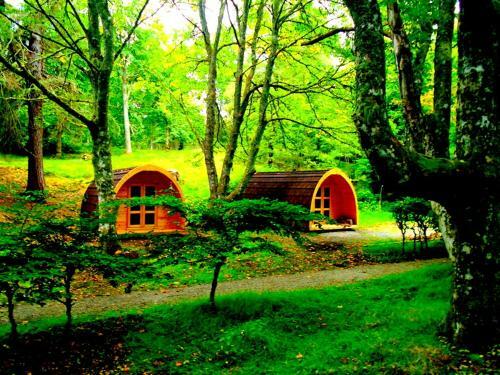 Bed & Breakfast Fairburn Activity Centre