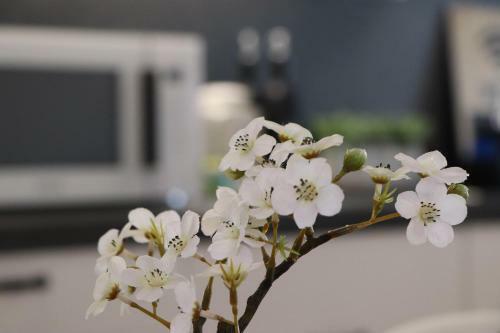 Apartamento Magnifique T2 de Standing - Id�alement Situ� ?