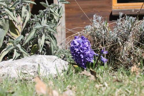 Mazot La Grangette De L�okadia