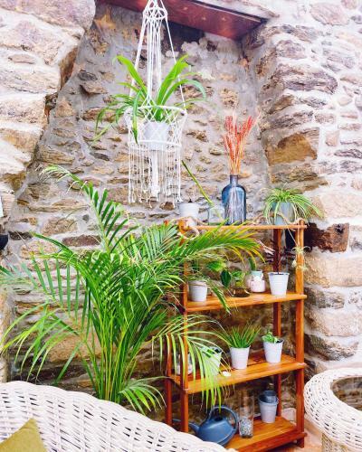 Bed & Breakfast Suite Duguesclin Entre Dinan Et Plages