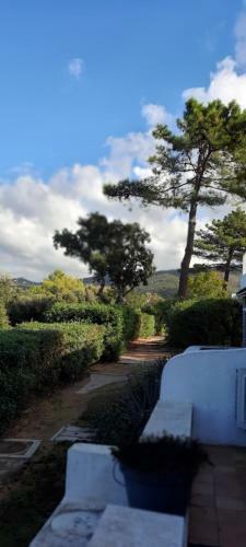 Cam�lia Plein Soleil Bord De Plage