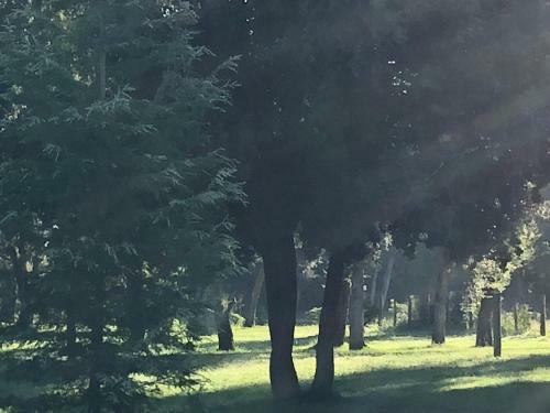 Domaine De Bracciole