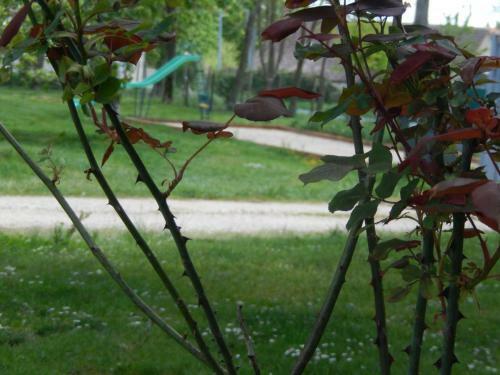 G�te Couddes, 3 Pi�ces, 6 Personnes - Fr-1-491-298