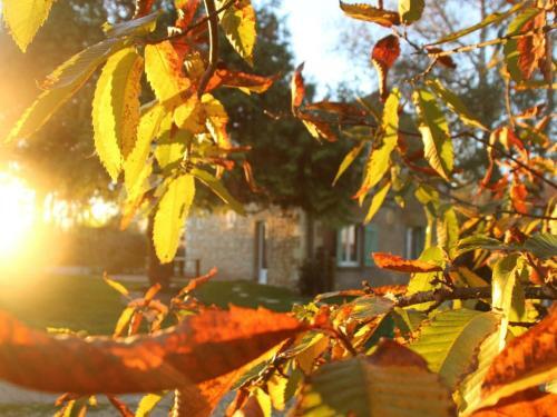 G�te Couddes, 3 Pi�ces, 6 Personnes - Fr-1-491-298