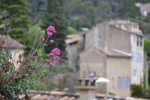 Apartamento Appartement Le Grenadier