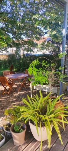Le G�te De Poulas