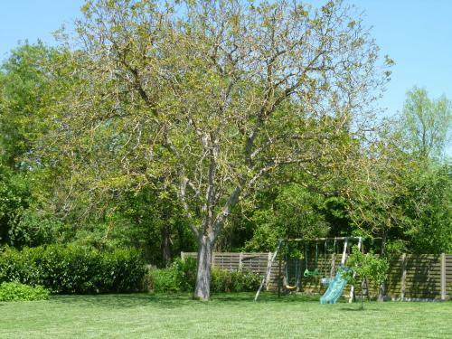 Bed & Breakfast La Balangere