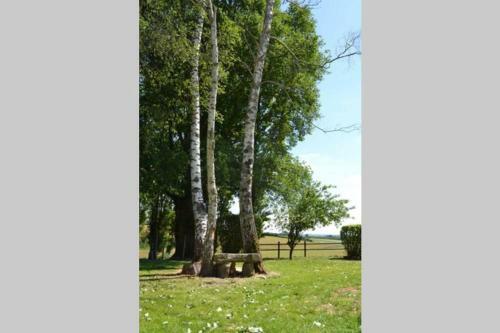 G�te & Spa Du Bien-�tre