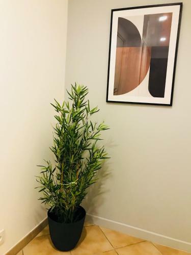 Apartamento Beau 2 Pi�ces Evry Centre