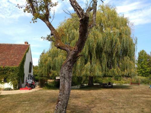 Domaine De La Richardelle
