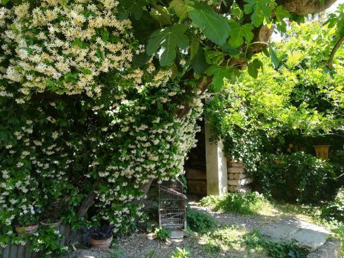 Apartamento La Figuiere