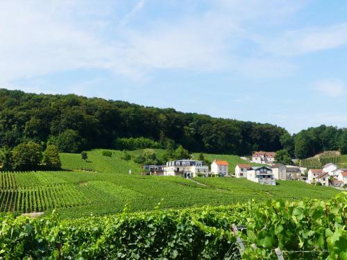 B&B En Champagne
