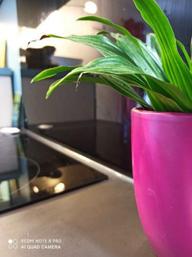 Apartamento Villa Rapha�l