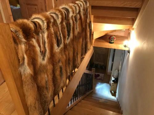 Chalet Pour 10 Personnes A Courchevel