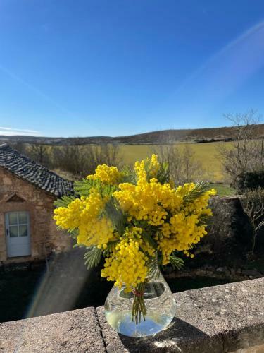 Le Gite Du Larzac � Brunas