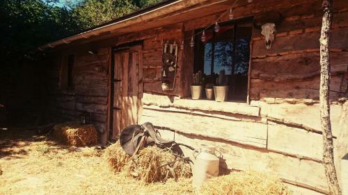 La Cabane Aux Loups