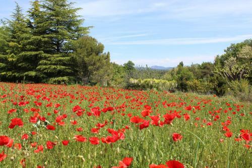 Bed & Breakfast Les Logis De Paban