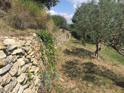 Apartamentos Ermitage Crestet (ventoux - Provence)