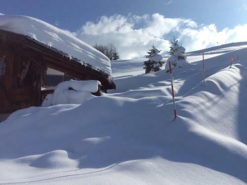 Les Flocons