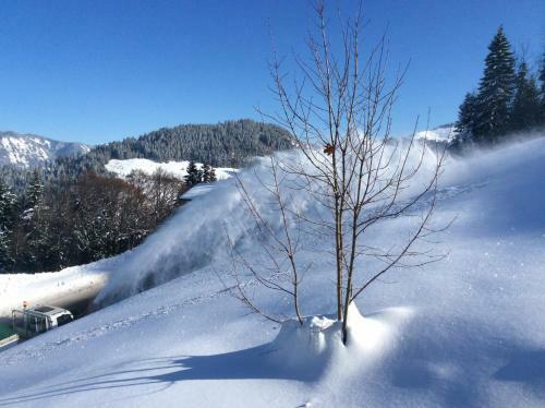 Les Flocons