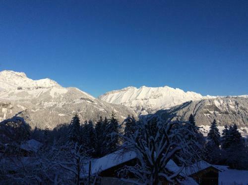 Les Flocons