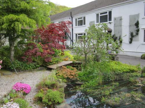Hostal Cwmbach Guest House