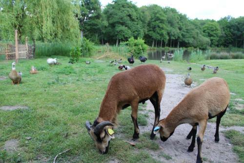 Ferme Des Poulardieres