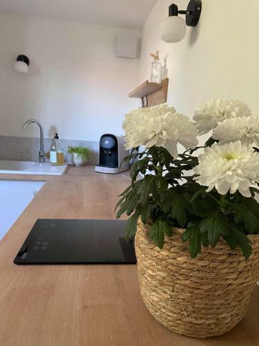 Apartamento Adorable Studio Emplacement Id�al