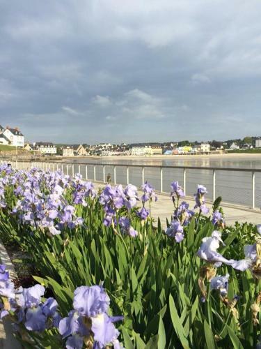 Apartamento L'imprenable Vue Mer