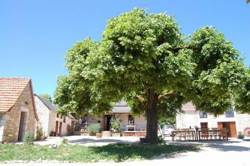 Bed & Breakfast Chambres Et Table D'h�tes La Panac�e