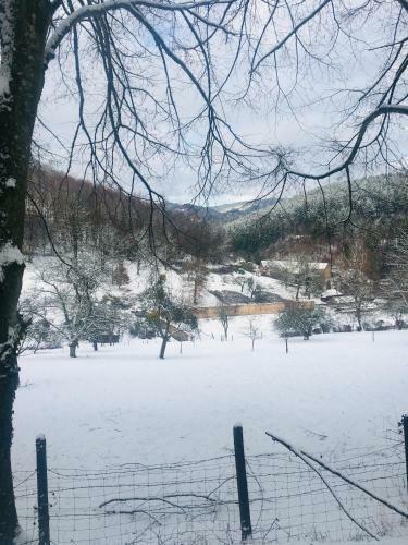 Apartamentos G�te De La Vall�e