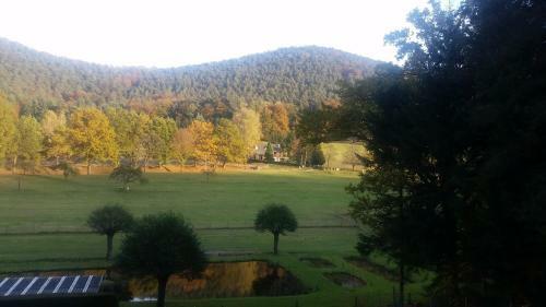 Le Wineck