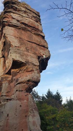 Le Wineck