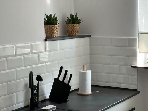 Apartament Loft Planty