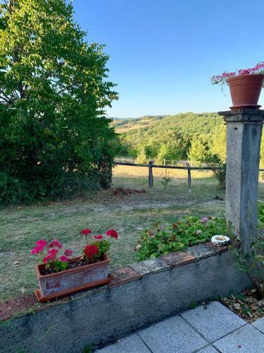 Bed & Breakfast La Meyssonni� 4355 Route de Graulhet 81220 Damiatte