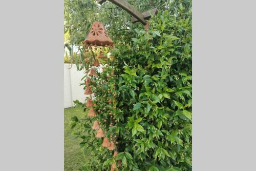 Cottage Du Bois Du Lys _ Piscine Priv�e