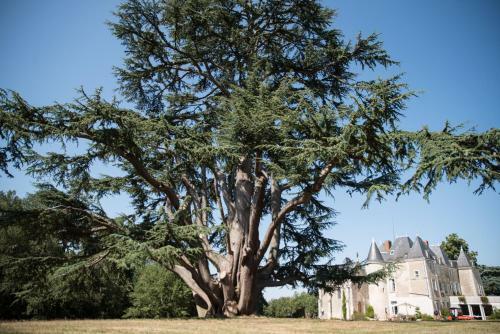 Bed & Breakfast Ch�teau De Piolant