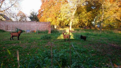 Hostal Le Jardin Des �cureuils