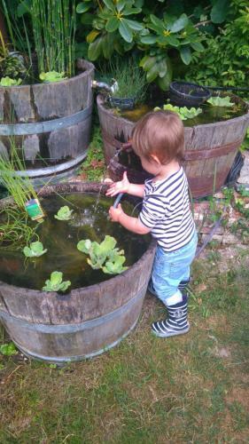 Hostal Le Jardin Des �cureuils