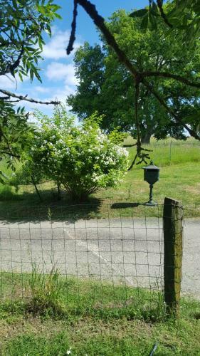 Sous Le Ch�ne