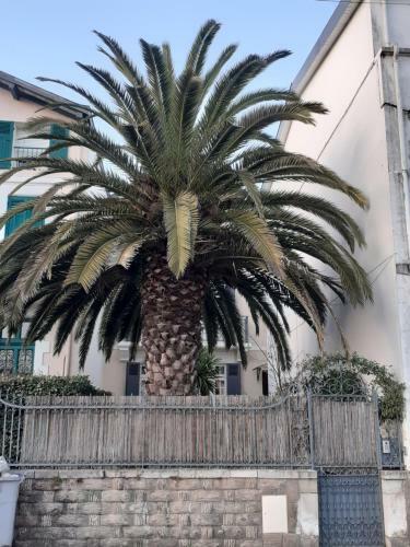 Apartamento Dax � Pied! T1 2 �toiles Centre Ville Balcon
