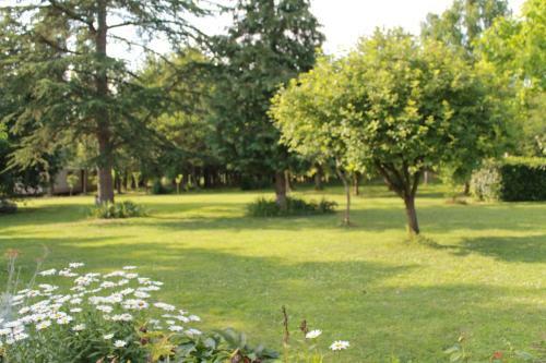 Les Pins � La Cerniere