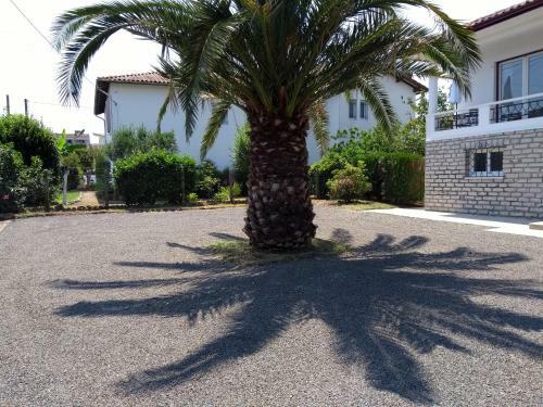 Apartamento Villanoeba