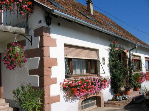 Les Floralies Lilas Alsace