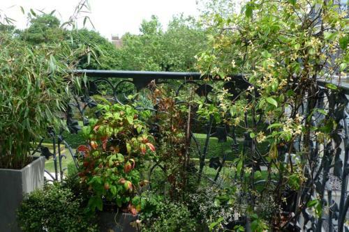 Apartamento Nid Douillet � Bagatelle