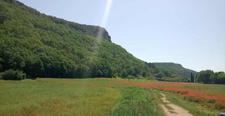 Bed & Breakfast Les Jonquilles