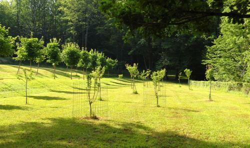Bed & Breakfast Le Manoir Du Rocher